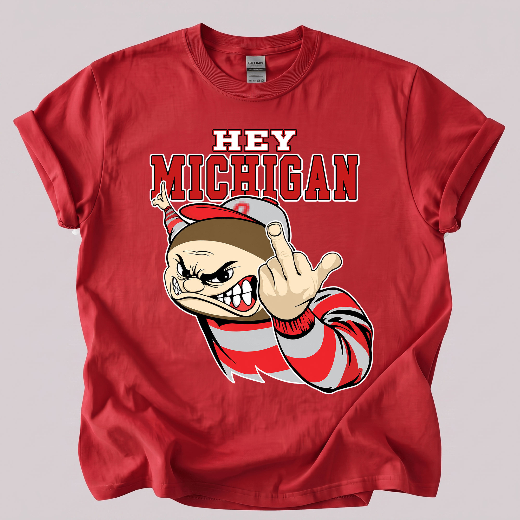 NT - Hey Michigan Fuck You Shirt, Sweatshirt, Hoodie