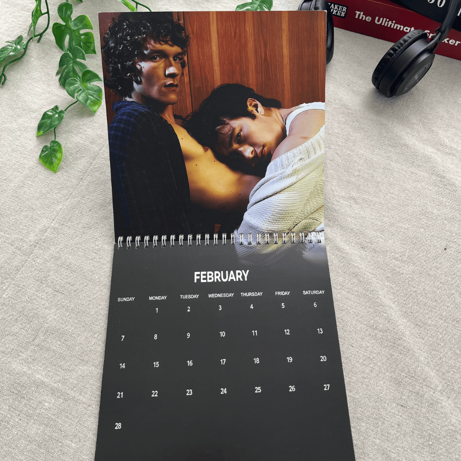 TQ - Heated Rivalry 2027 Wall Calendar, Hudson William, Connor Storrie