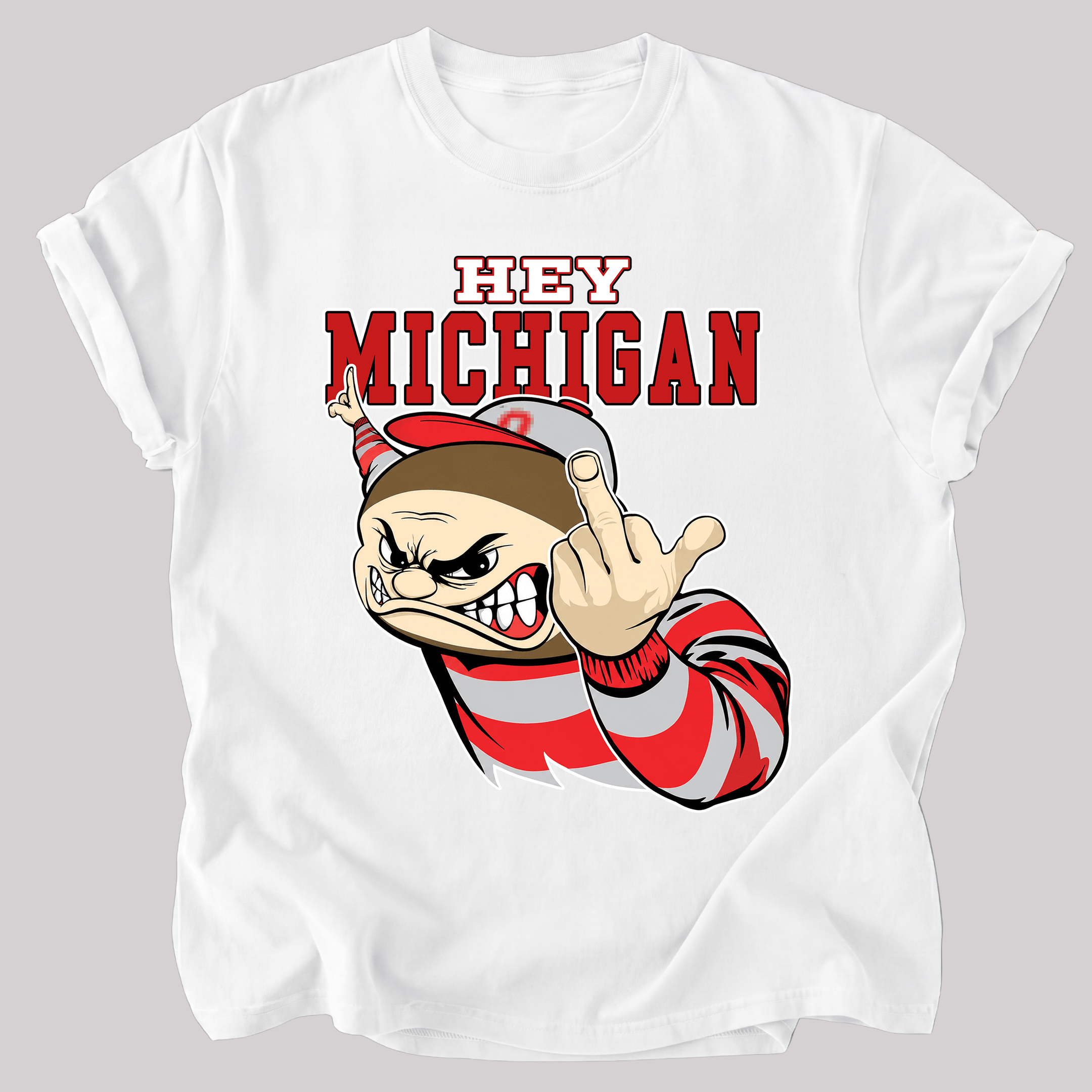 NT - Hey Michigan Fuck You Shirt, Sweatshirt, Hoodie